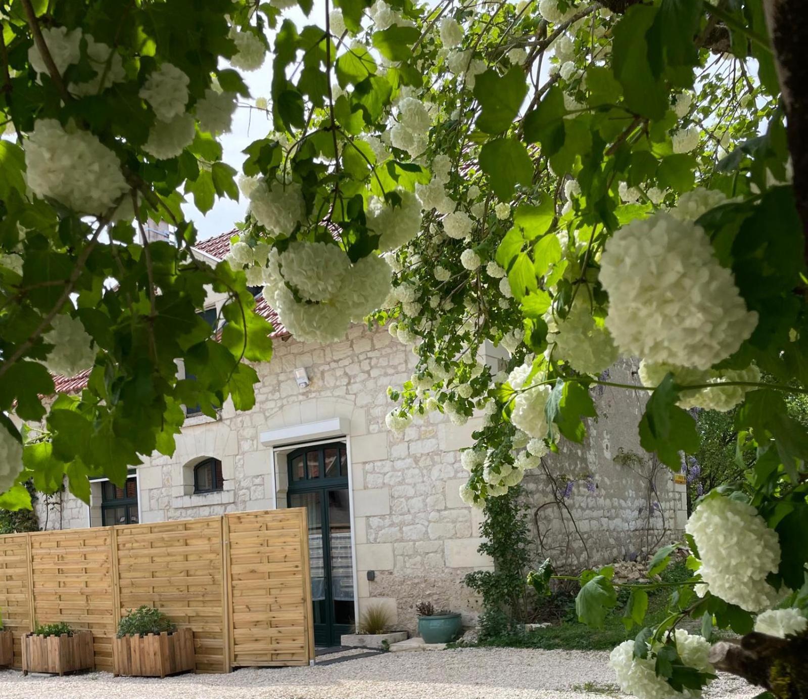Châteauvieux Le Relais, La Dormance, Le Bois Dormant酒店 外观 照片